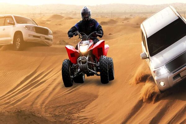 Morning Safari with Quad Bike
